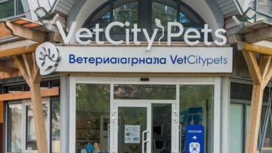 ветеринарная клиника vetcitypets